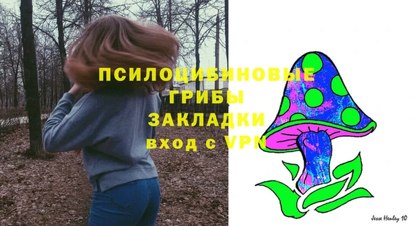 прущие крисы Медвежьегорск