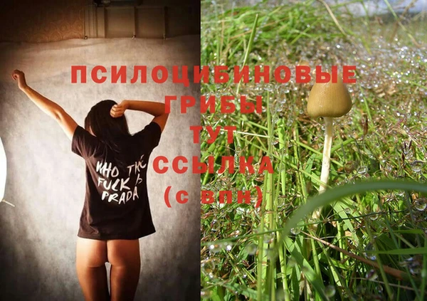 мет Мегион