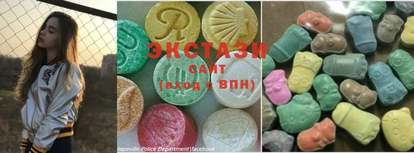 индика Алексин