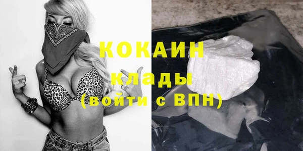 индика Алексин